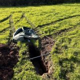 percolation-test-gloucester-1 percolation-test-gloucester-1