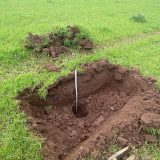 percolation-test-malvern-1 percolation-test-malvern-1