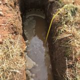 percolation-test-site-24 percolation-test-site-24