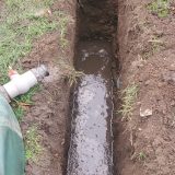 percolation-test-site-31 percolation-test-site-31